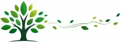 Nieuwoudt-Du Plessis Attorneys